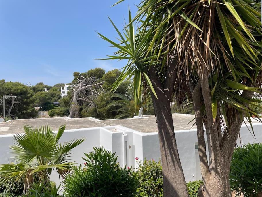 Playa D'or 16 / / Mallorca Apartment Cala D´Or